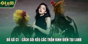 Đá gà C1