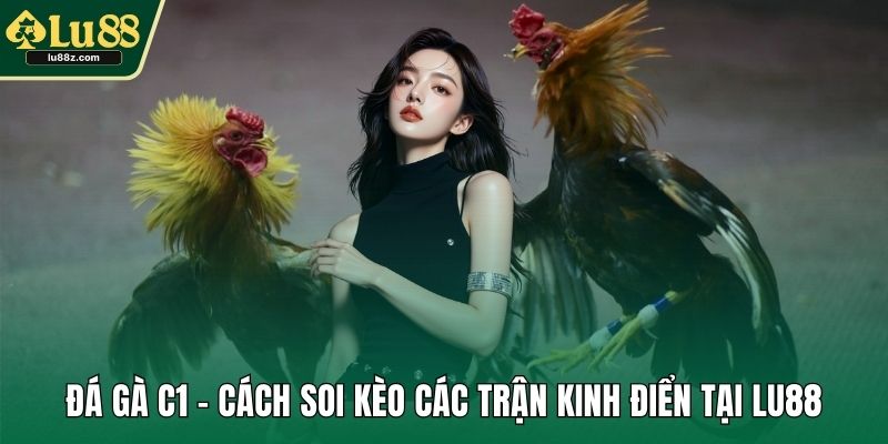 Đá gà C1