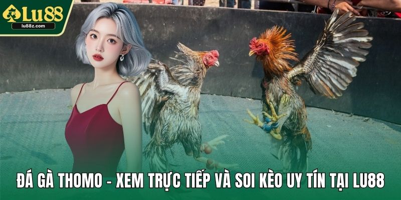Đá gà thomo