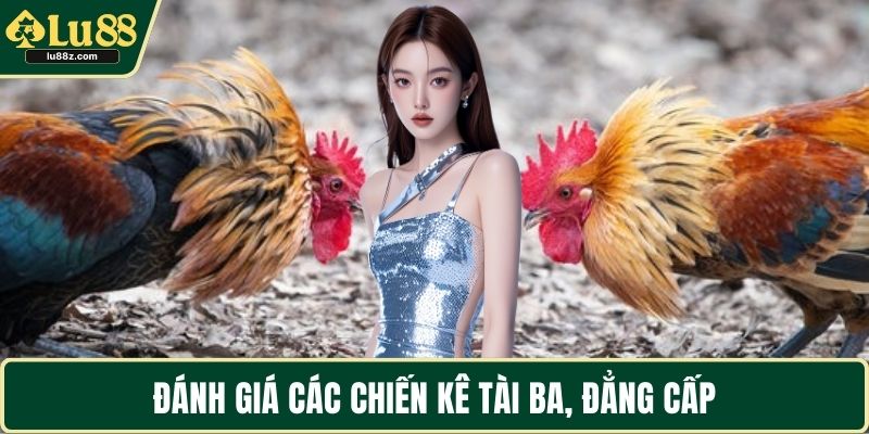 Đánh giá các chiến kê tài ba, đẳng cấp