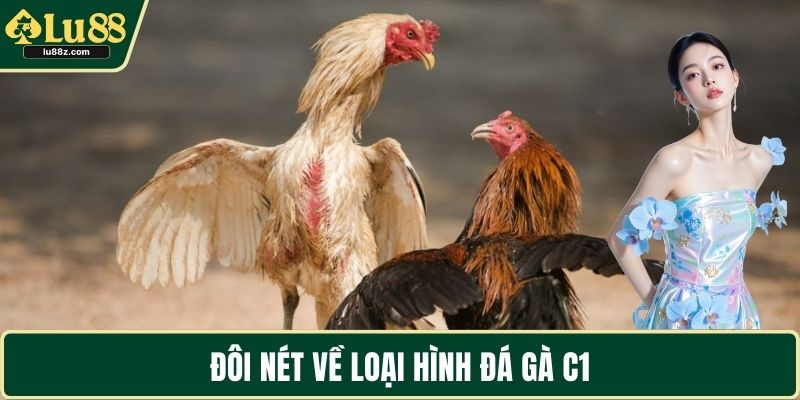 Đôi nét về loại hình đá gà C1