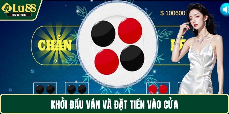 Khởi đầu ván và đặt tiền vào cửa