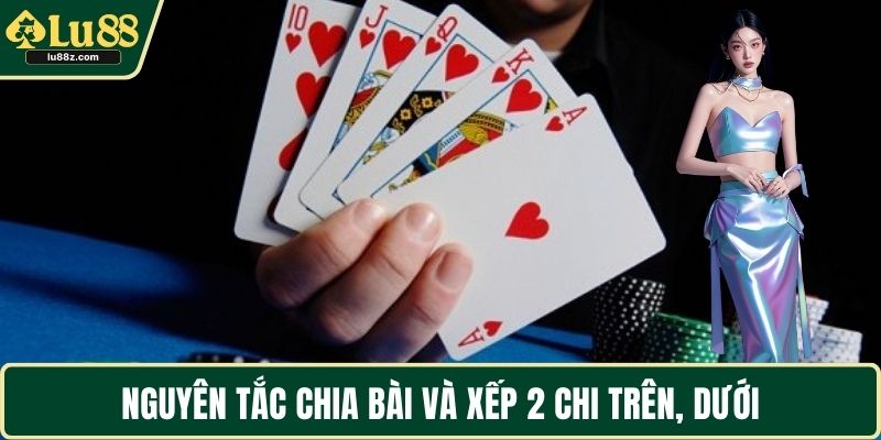 Nguyên tắc chia bài và xếp 2 chi trên, dưới