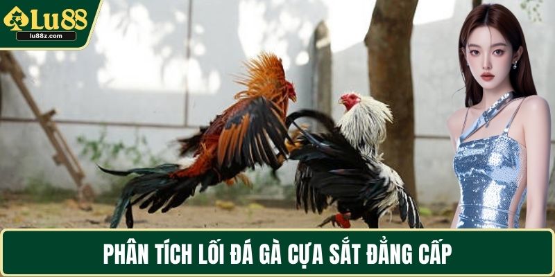 Phân tích lối đá gà cựa sắt đẳng cấp